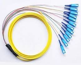 4, 6, 8, 12, 24, 48 Fibers Optional Ribbon multi-fiber Pigtail Optik untuk Telekomunikasi